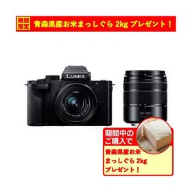 【期間限定ギフトプレゼント】パナソニック DC-G100DW-K デジタル一眼カメラ ダブルズームレンズキット LUMIX G100D ブラック