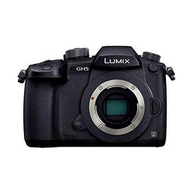 パナソニック ミラーレス一眼カメラ ルミックス GH5 ボディ ブラック DC-GH5-K(中古品)
