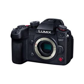 【長期5年保証付】パナソニック Panasonic DC-GH7 LUMIX GH7 ミラーレス一眼カメラ ボディ DCGH7