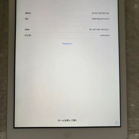 iPad Air 第1世代 cellular+Wi-Fiモデル 本体のみ ドコモ