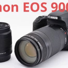 キャノン Canon EOS 9000D標準&望遠ダブルレンズセット