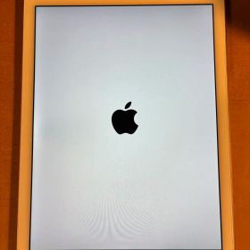 【ジャンク品】Apple iPad Air 2 本体 ゴールド