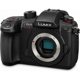 パナソニック ミラーレス一眼カメラ「LUMIX DC-GH5M2」ボディ Panasonic DC-GH5MII DC-GH5M2 返品種別A