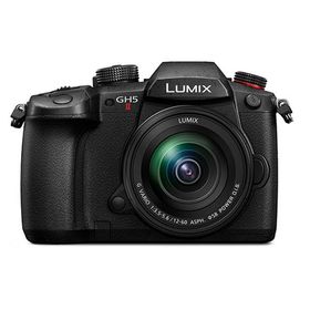パナソニック ミラーレス一眼カメラ ルミックス LUMIX Gシリーズ DC-GH5M2M 標準ズームレンズキット ブラック