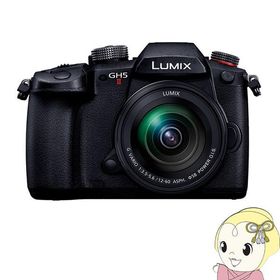 Panasonic パナソニック LUMIX Gシリーズ ミラーレス 一眼カメラ DC-GH5M2M 標準ズームレンズキット/srm