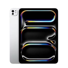 iPad Pro 11インチ Wi-Fi 1TB (準ガラス搭載)2024年春