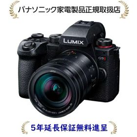 パナソニック DC-G9M2L[5年延長保証無料進呈★](DCG9M2L) LUMIX デジタル一眼カメラ／レンズキット