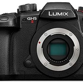 【中古】［状態良好］パナソニック(Panasonic) ミラーレス一眼カメラ ルミックス GH5M2 ボディ ブラック DC-GH5M2