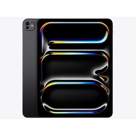 Apple iPad Pro 13インチ Cellular 2TB Nano-texture ME8M4J/A [スペースブラック]【お取り寄せ ※1ヶ月から2ヶ月見込み】（2100000017906）