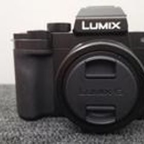 ミラーレス一眼レンズキット DC-G100DK-K PANASONIC