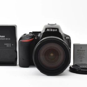 【ショット数33288回】 ニコン D5500＋AF-S 18-70 カメラ