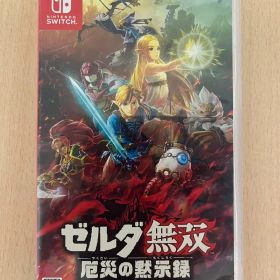 プレイ途中 ゼルダ無双 厄災の黙示録 Nintendo Switch