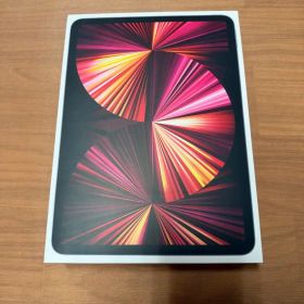 Apple 11インチiPad Pro (第3世代) M1 256GB セット