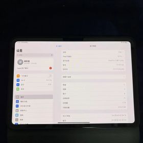 Apple iPad Pro 11インチ (M4) 1TB 本体