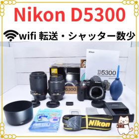 ニコン Nikon D5300 ダブルレンズキット シャッター数少
