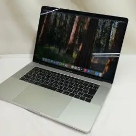 Apple MacBook Pro 15インチ CTO (Mid 2019) シルバー Core i9(2.4G/8C)/32G/1T(SSD)/Radeon Pro 560X