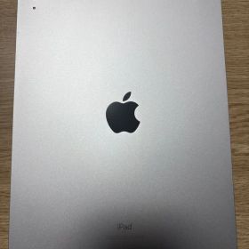 Apple iPad 第10世代 本体 カバー付き