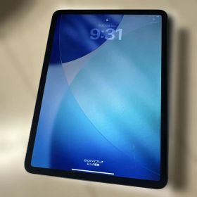 iPad Pro 11インチ 2nd 256GB Cellular