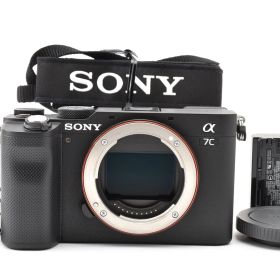 ■3361ショットのほぼ新品■ SONY ソニー α7C ILCE-7C ブラック #F340