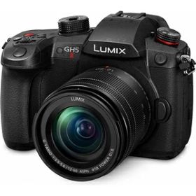 パナソニック ミラーレス一眼カメラ「LUMIX DC-GH5M2」標準ズームレンズキット DC-GH5M2M Panasonic DC-GH5MII