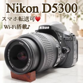 ✨人気の高画質モデル✨Nikon D5300❤️一眼レフ Wi-Fi搭載