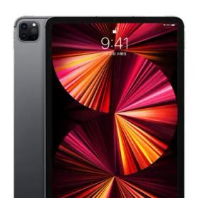Apple SoftBank 【SIMロックあり】 11インチ iPad Pro（第3世代/2021） 2TB スペースグレイ MHWE3J/A