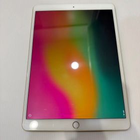 Apple iPad Pro 10.5インチ 本体