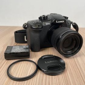動作OK LUMIX ミラーレス一眼カメラ GH5 DC-GH5