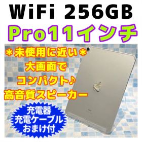 美品 WiFi iPad Pro 11インチ 第1世代 本体 256GB