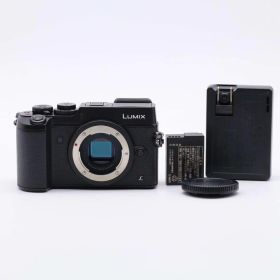 ショット数678 パナソニック LUMIX DMC-GX8 ボディ #513