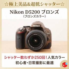 250回 Nikon D5200 ブロンズ レンズセット 蓋欠け