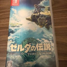 ゼルダの伝説 ティアーズ オブ ザ キングダム