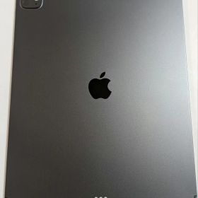 SIMフリーApple 13インチ iPad Pro (M5) 256GB 本体