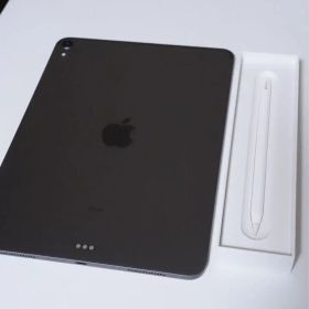 iPad Pro 11インチ 第1世代 64GB Apple Pencil2付き