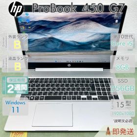 HP ProBook 450 G7 i5 8GB 256GB |T3977|