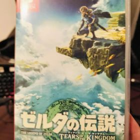 ゼルダの伝説 ティアーズ オブ ザ キングダム Switch