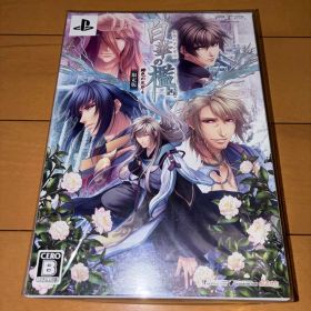 Switch 届けろ!戦え!カラミティエンジェルズ