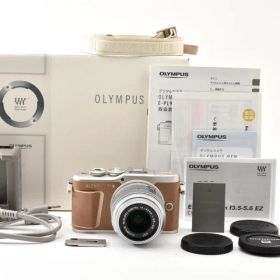 OLYMPUS オリンパス PEN E-PL9 ミラーレス一眼カメラ
