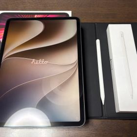 箱あり iPad Pro 11インチ M1 Apple Pencil2世代