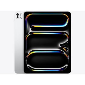 Apple iPad Pro 13インチ Wi-Fi 2TB Nano-texture MDYW4J/A [シルバー]【お取り寄せ ※1ヶ月から2ヶ月見込み】（2100000017889）