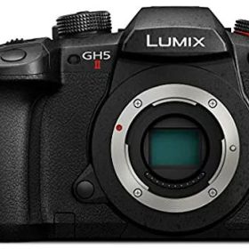 パナソニック(Panasonic) ミラーレス一眼カメラ ルミックス GH5M2 ボディ ブラック DC-GH5M2