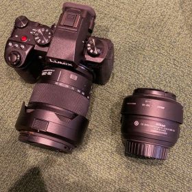 Panasonic LUMIX S5II 28-200mm レンズセット