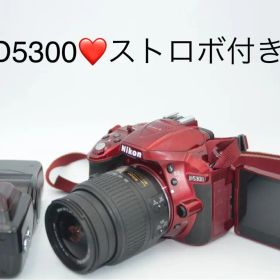 ⭐️Nikon D5300⭐️ストロボ付き⭐️