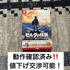 ゼルダの伝説 ブレス オブ ザ ワイルド Switch