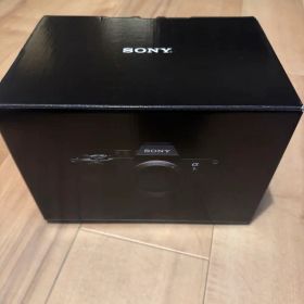 SONY α7R V ILCE-7RM5 シャッター約3937回