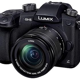 【中古】【39shop】パナソニックPanasonic★ミラーレス一眼カメラ ルミックス GH5 レンズキット 標準ズームレンズ ブラック DC-GH5M-K(非常に良い)