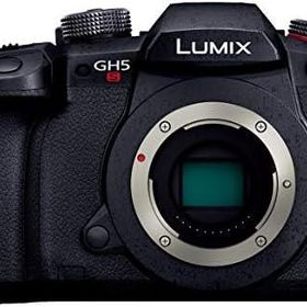 【中古】 パナソニック Panasonic ミラーレス一眼カメラ ルミックス GH5S ボディ ブラック DC-GH5S-K 当店保証30日間 人気 ミラーレス一眼 ミラーレス デジタルカメラ 中古