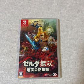Nintendo Switch ゼルダ無双 厄災の黙示録 ソフト