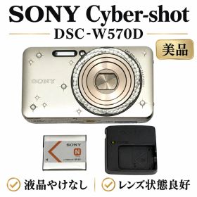 【30日返金保証】ソニー DSC-W570D 中古 デジカメ 動作確認済み 即発送 クリーニング済み 丁寧梱包 在庫1点限り 即購入OK 中古品 dsc-w570d DSCW570D dscw570d 8316