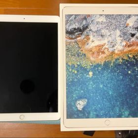 【良好】 ipad Pro 10.5インチ 64GB Wi-Fiモデル